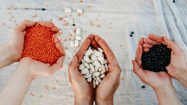 Why is everyone talking about fibre? - Check My Body Health USA