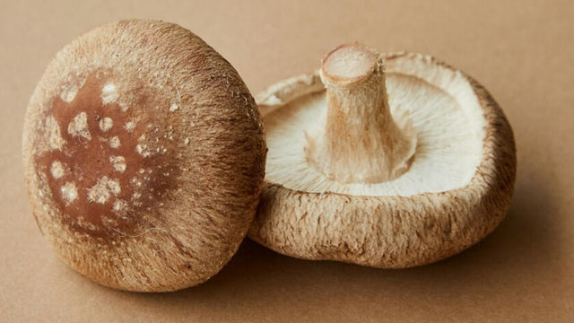 Shiitake Mushroom Allergy: What to Know - Check My Body Health USA