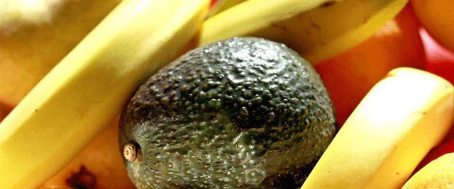 What Foods Have B6? | Foods High In B6 - Check My Body Health USA