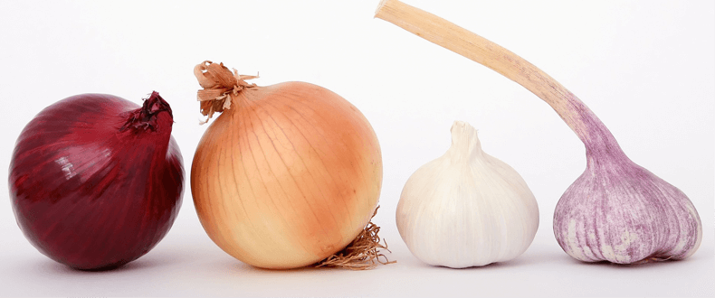 Allium intolerance and allergy symptoms | Onion & Garlic - Check My Body Health USA