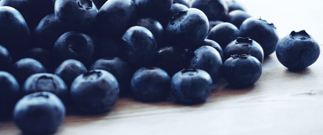 Can you be allergic to blueberries? - Check My Body Health USA