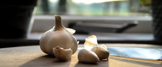Garlic Intolerance - Check My Body Health USA