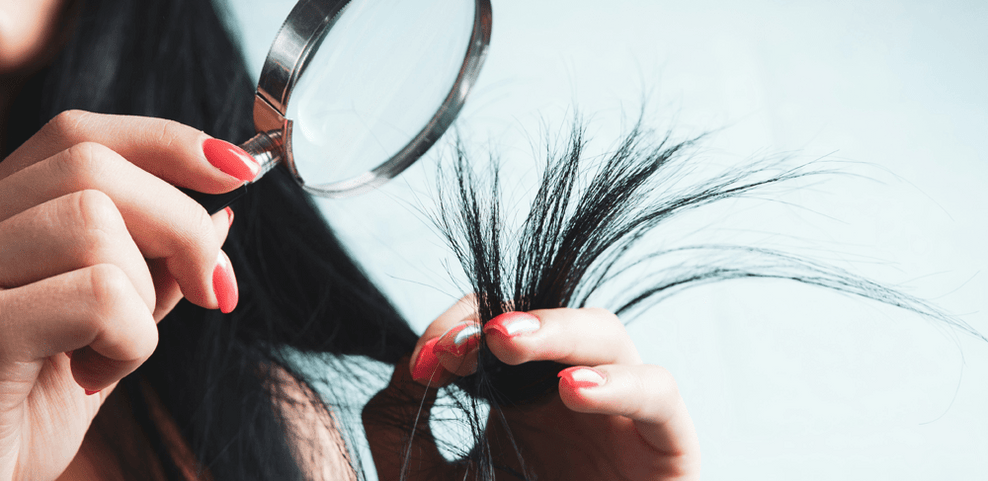 Is hair or blood better for a food intolerance test? - Check My Body Health USA