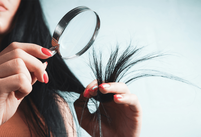 Is hair or blood better for a food intolerance test? - Check My Body Health USA