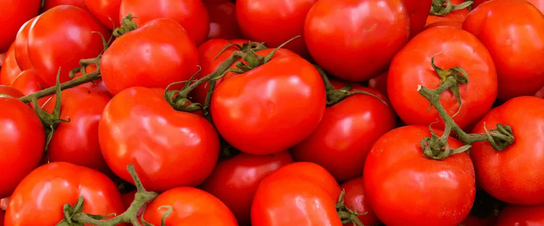 Nightshade Intolerance: Symptoms, Causes, and How to Find Relief