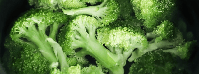 Signs & Symptoms of a Broccoli Intolerance or Allergy - Check My Body Health USA