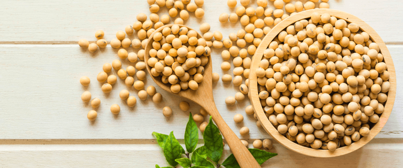 Soy (or Soya) Allergy - Symptoms & Tests - Check My Body Health USA