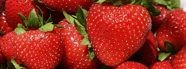 Strawberry Intolerance & Allergy | Signs & Symptoms - Check My Body Health USA