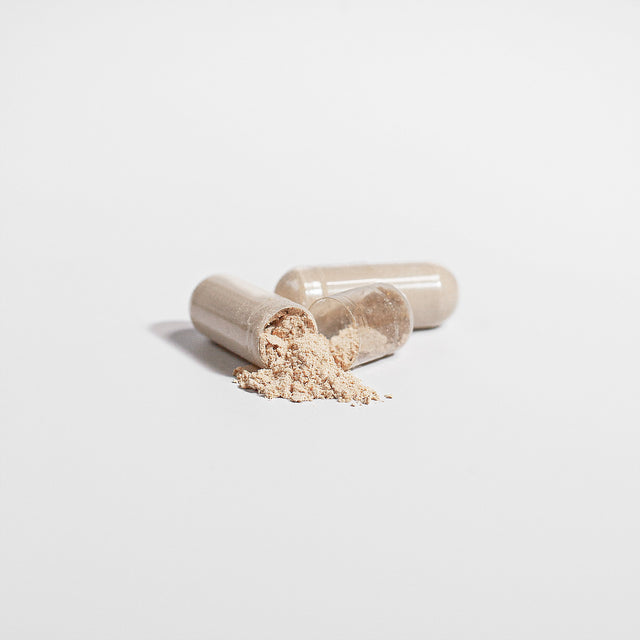Lion's Mane Mushroom - Check My Body Health USA