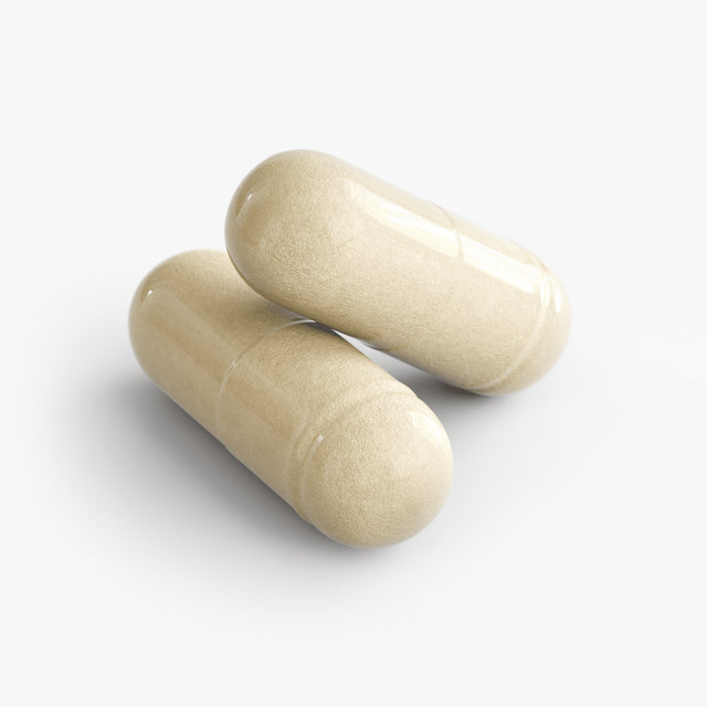 Gut Health - Check My Body Health USA