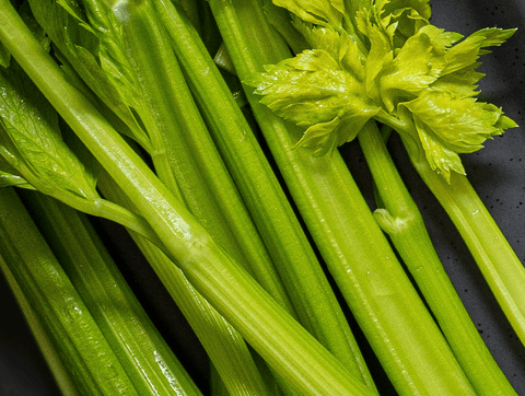 Celery Allergy