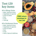 Allergy & Intolerance Test (IgE + IgG) - Check My Body Health USA