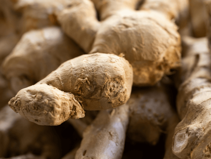 Ginger Allergy