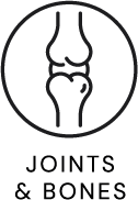 Joints and Bones